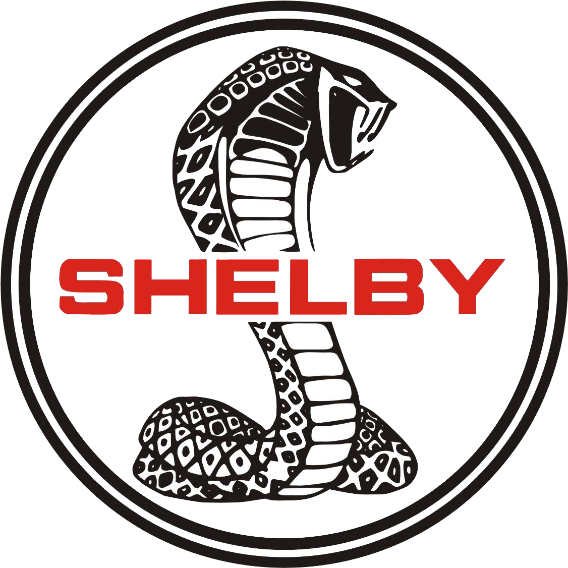 Client Logo 30
